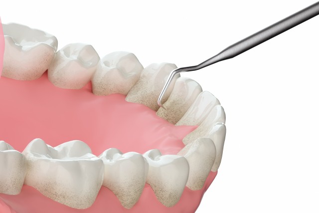 地域の皆様が安心して相談できる身近な歯科医療の窓口として、日々の診療に取り組んでいます。※写真はイメージです。