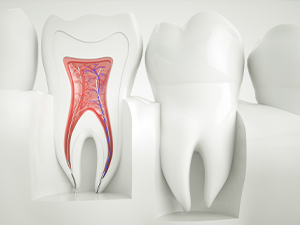①外観イメージ②得意の根管治療③「患者様の大切な歯をできるだけ長く守ること」