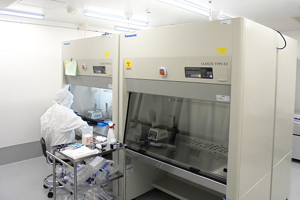 歯髄幹細胞培養上清治療