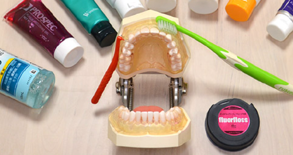 虫歯や歯周病を未然に防いで、健康なお口を保ちましょう