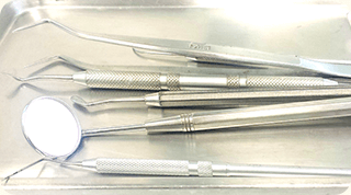 プロによるクリーニング