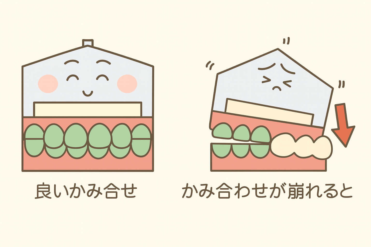オクルーザルパワーゾーン理論に基づき、上下左右の歯が均等に噛み合う理想的なかみ合わせを追求しています。