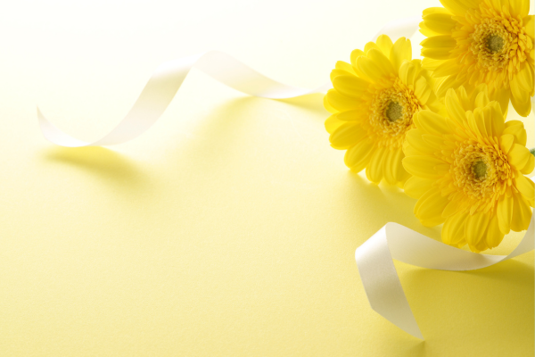 ※画像はイメージです