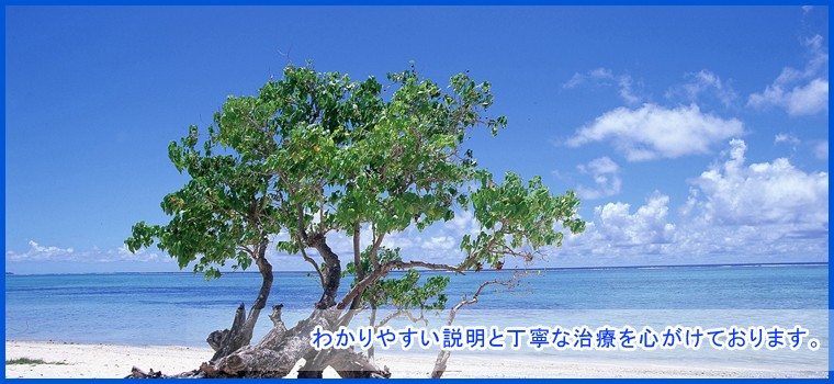 バリアフリーでお体が不自由な方も安心です