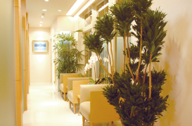 【住吉駅徒歩10分】土曜診療・駐車場完備で通いやすいにん歯科クリニック