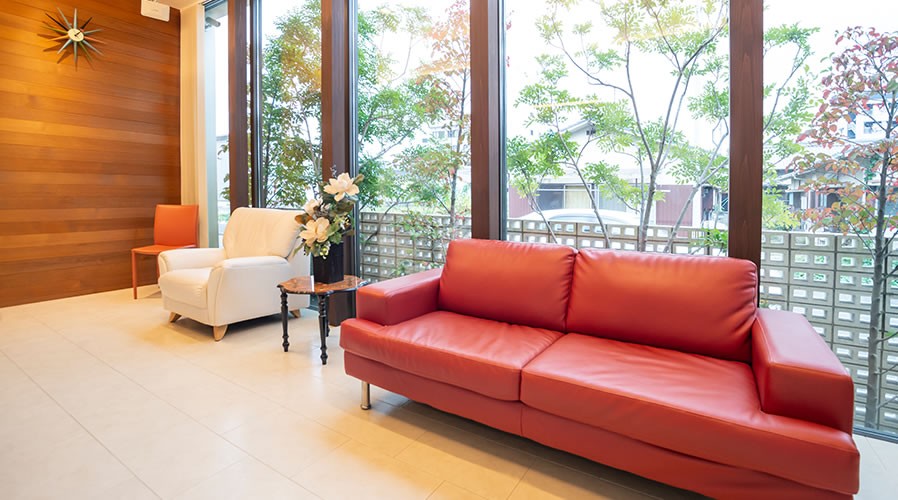 【バリアフリー・駐車場完備】地域に信頼を築くサウス歯科医院の安心診療