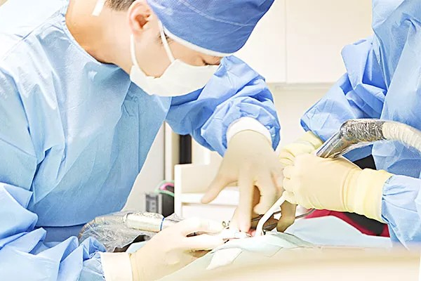 最短1日のインプラント治療