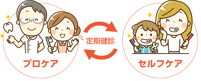 むし歯や歯周病から歯を守るための「予防歯科」に力を入れています