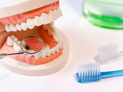 定期管理と生活習慣への助言を通じて、お子様から大人まで継続的な予防を支えています。