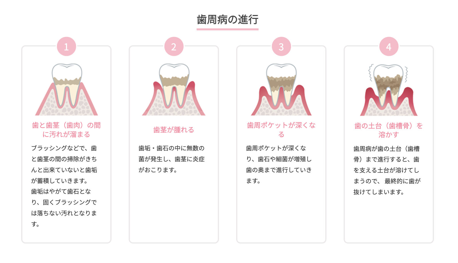口腔内の健康を維持するためのサポートを提供しています