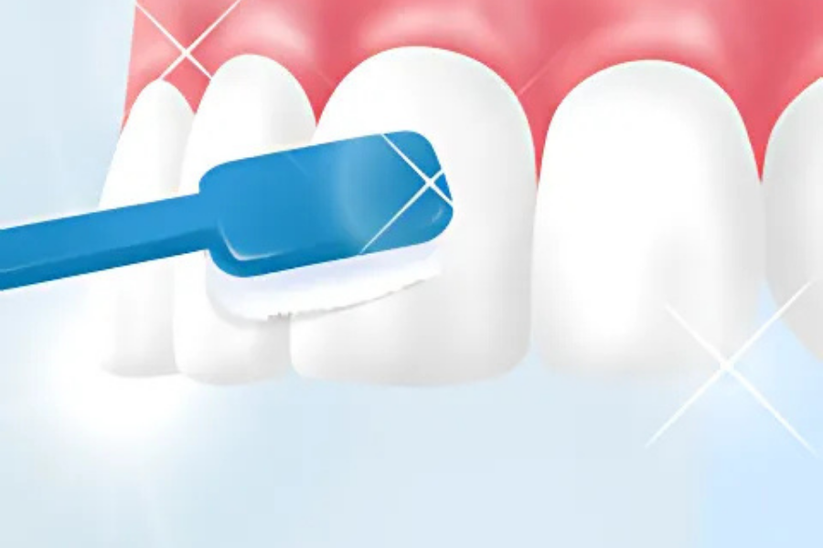 ブラッシング指導なども行います