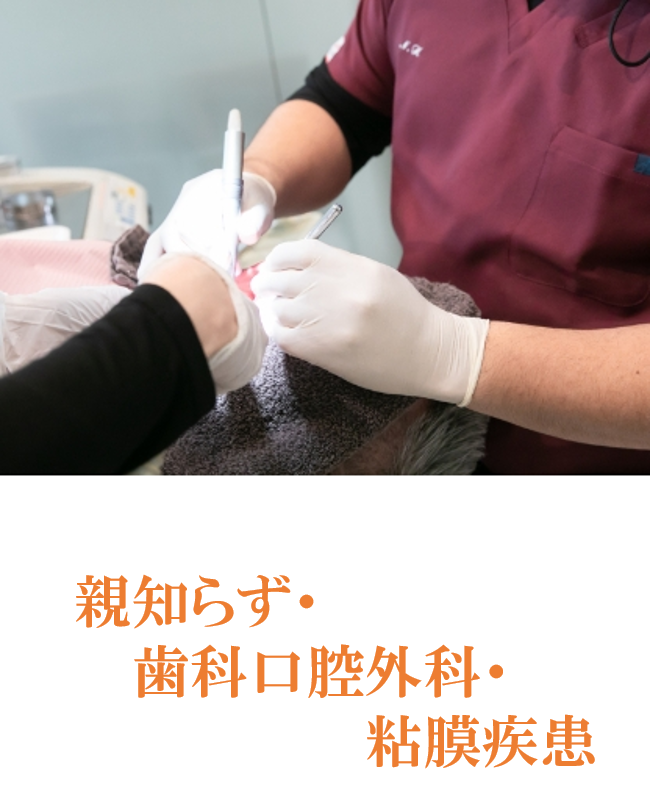 親知らずの抜歯や顎関節症の治療など、歯科口腔外科領域に幅広く対応しています