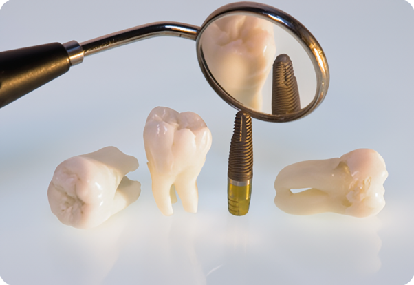 噛む力を取り戻すことで健康寿命をサポート