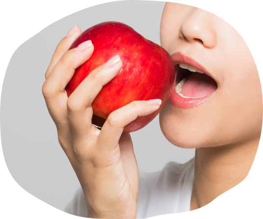 インプラント治療は保険外診療となり、治療内容によって費用が異なるため、事前に担当医と詳細を確認していただきます