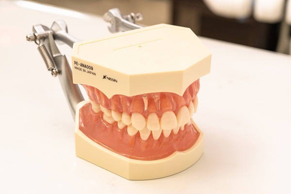 お子様の健やかな成長と将来の口腔健康を守るため、小児歯科を通じて丁寧なサポートを行っています。