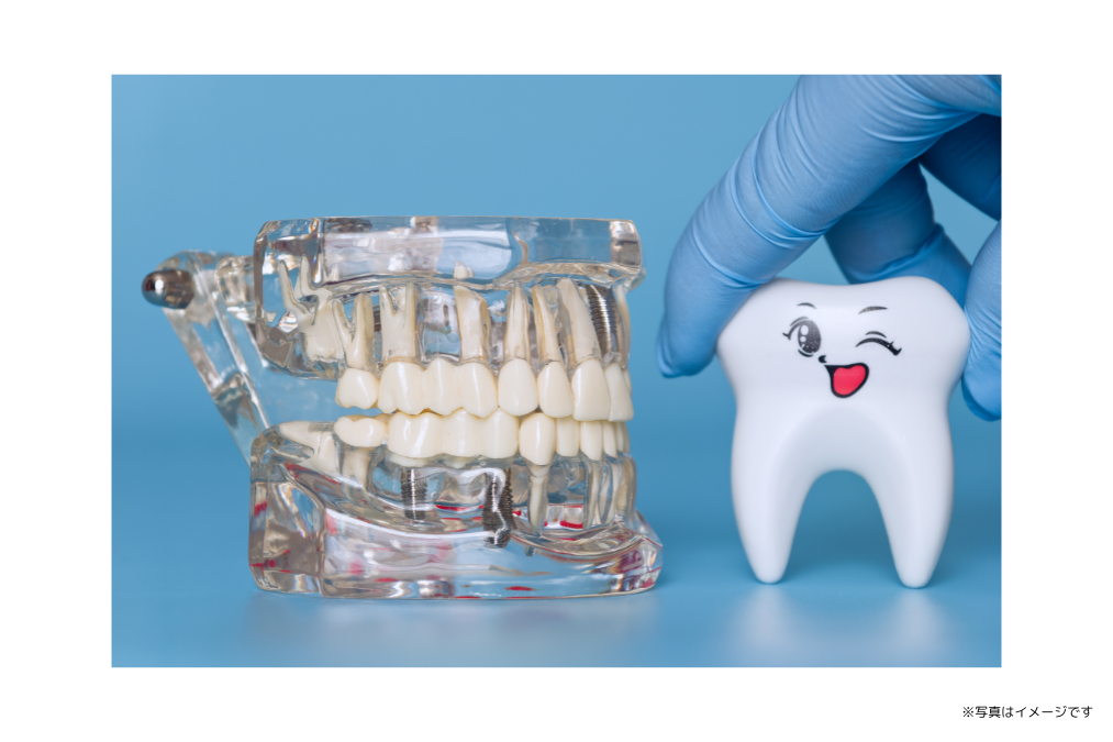 【市民広場バス停 徒歩2分】歯周病とインプラント治療に注力する高木歯科クリニック