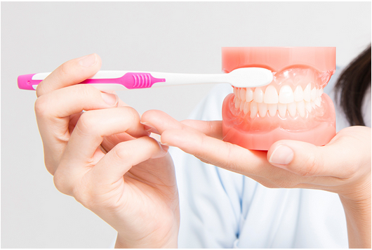 日々の口腔ケアと定期的なクリニックでのクリーニングが大切