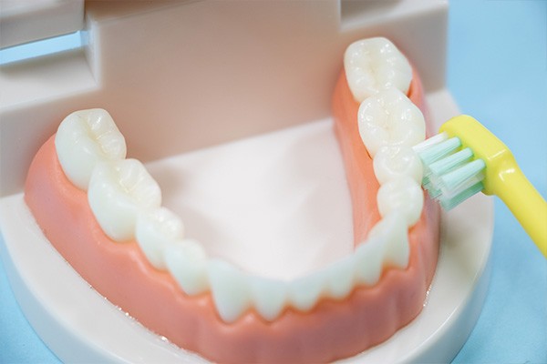 お口の健康を守るには予防が必須です