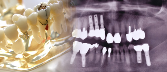 正確な診断・治療を行ないます