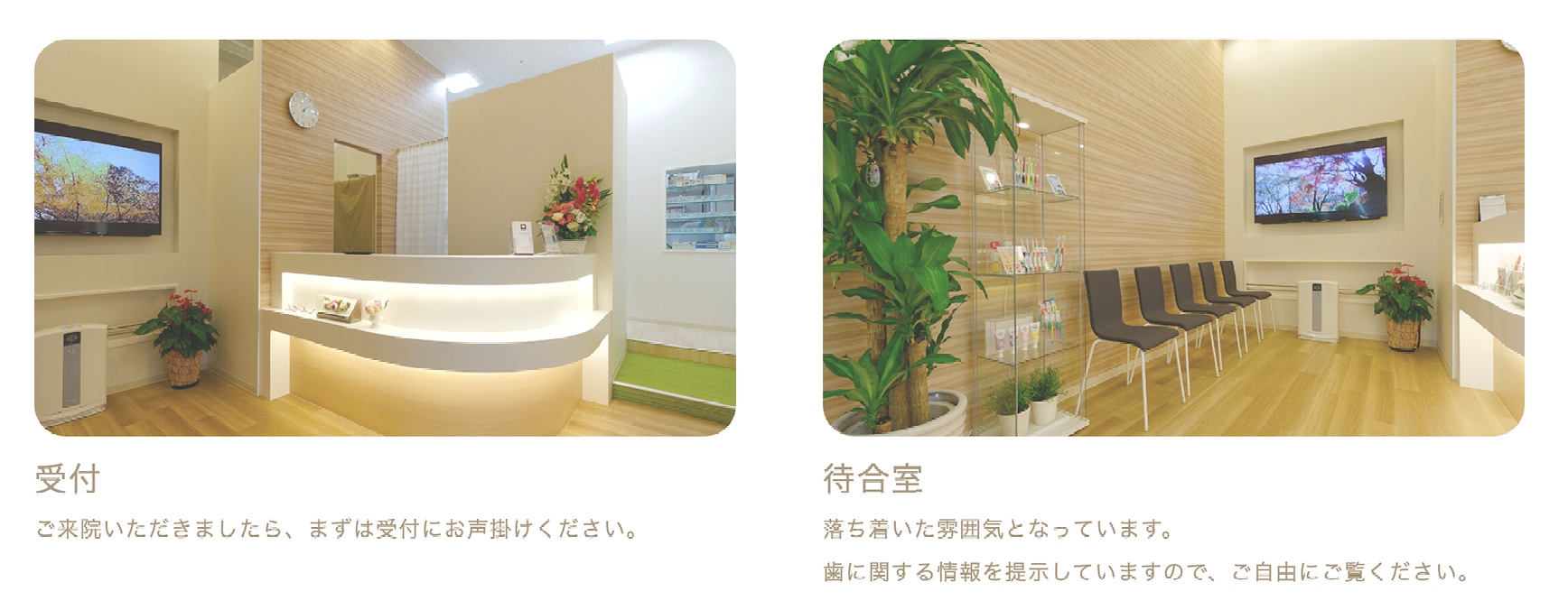 ①医院名 ②受付・待合室 ③パウダールーム・衛生コーナー