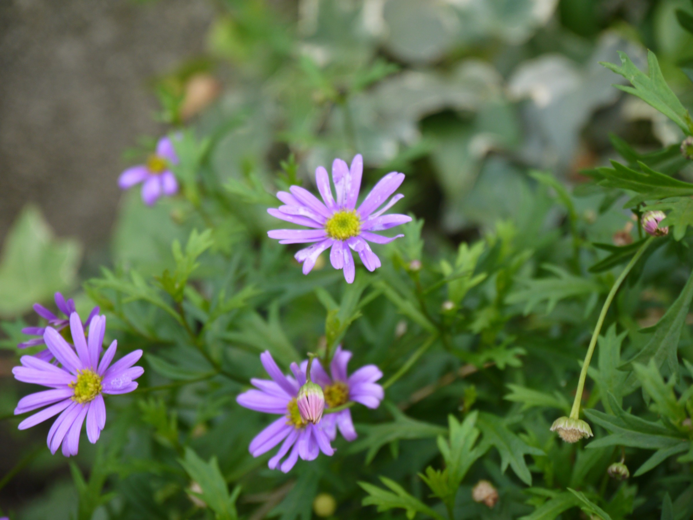 ①②③医院イメージ