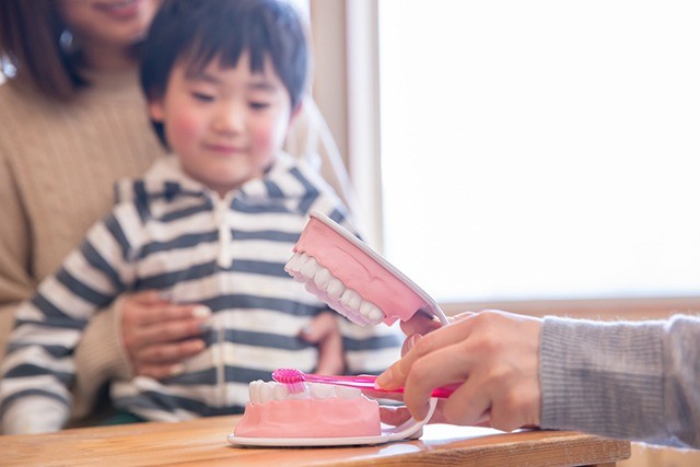 成長段階に応じた口腔管理を継続的に行っています。