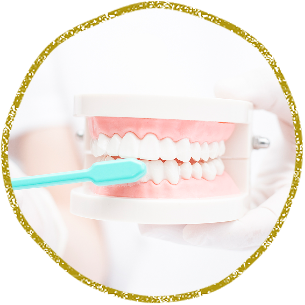 患者様が安心して予防に取り組める環境が提供されています