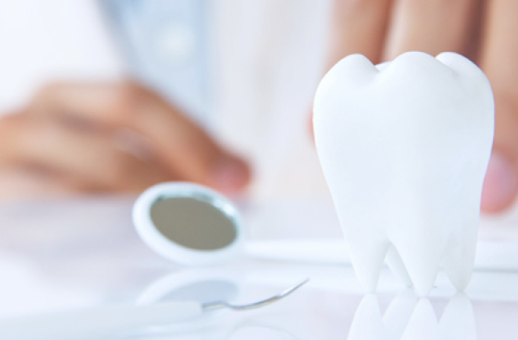 予防を大切にすることで歯の健康を長く維持する