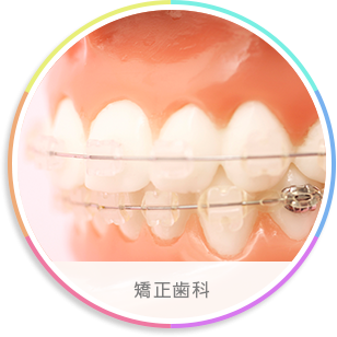 歯の動きには個人差があります