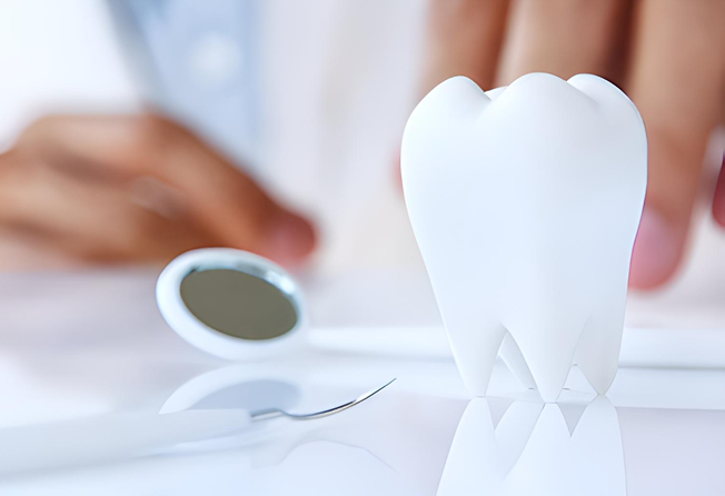 口腔から全身の健康を支える予防中心の包括的医療