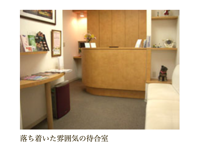 【日本口臭学会認定医　在籍】口臭治療を中心に、患者様へ丁寧な説明と適切な治療を提供する鎌倉橋歯科医院