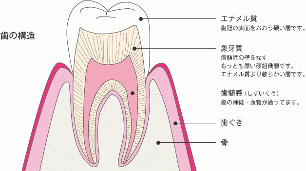 無痛治療をポリシーとしております