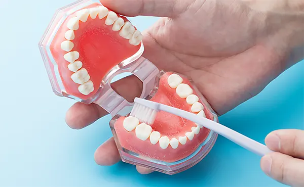 プロのケアで守る健康な歯