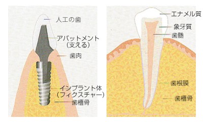 マリンタウン東浜総合歯科は、浦添総合病院や琉球大学病院と提携し、南部徳洲会病院口腔外科の専門医とも連携しています。