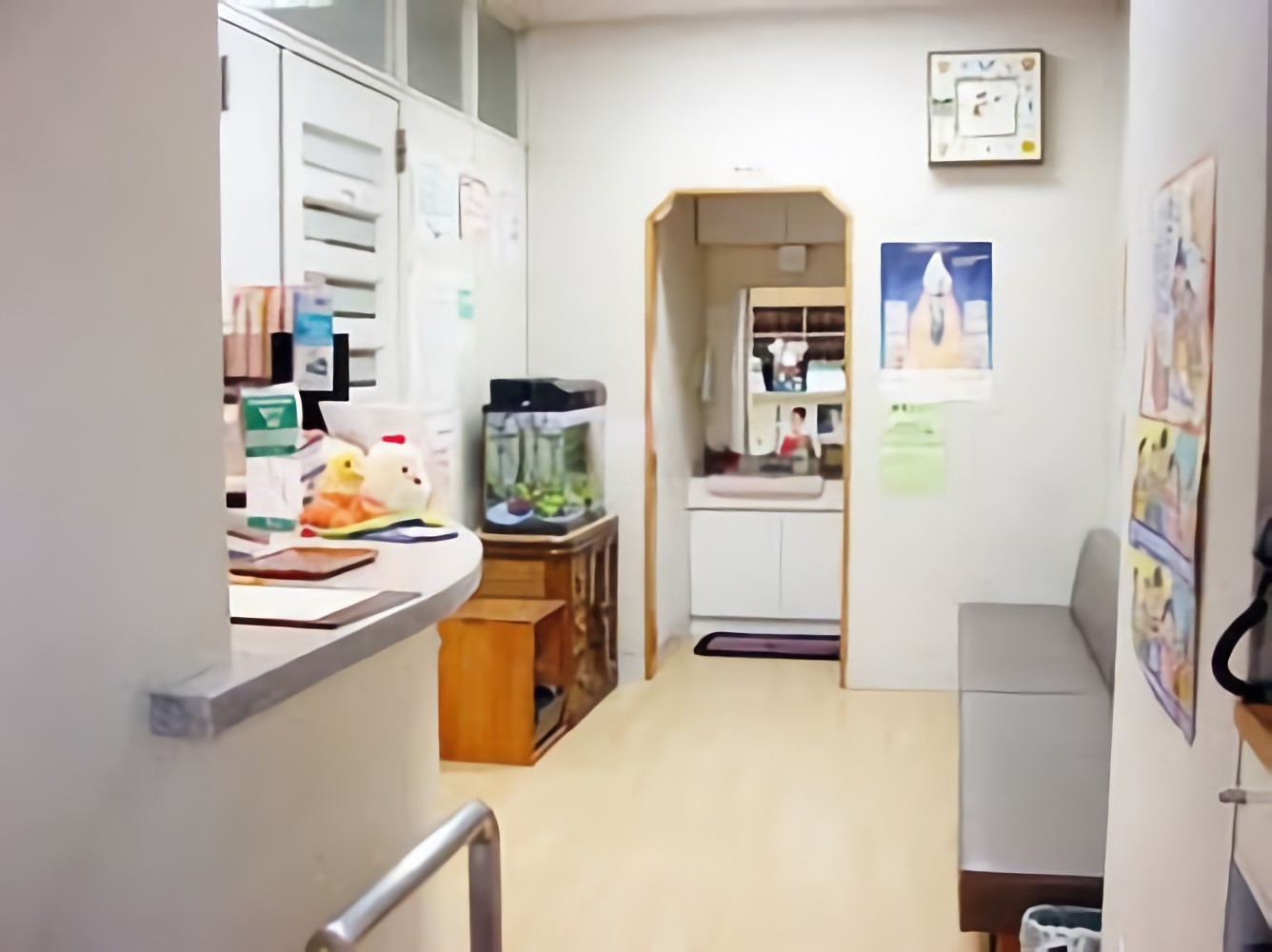 ①待合室②ブラッシングコーナー③デジタル3Dレントゲン(CT)撮影装置