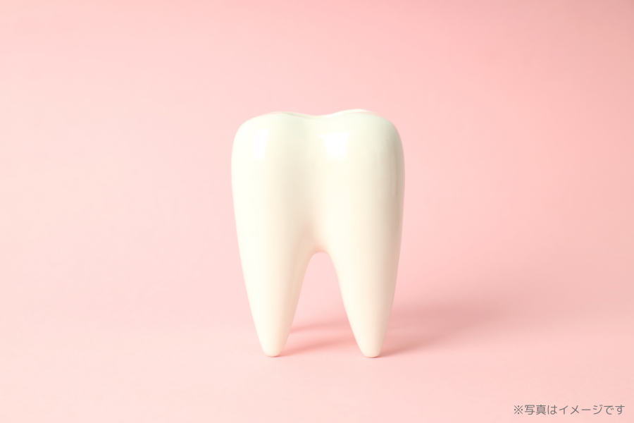 【若葉駅 徒歩12分】【キッズスペース完備】一般歯科やホワイトニングにも対応するフラワー歯科